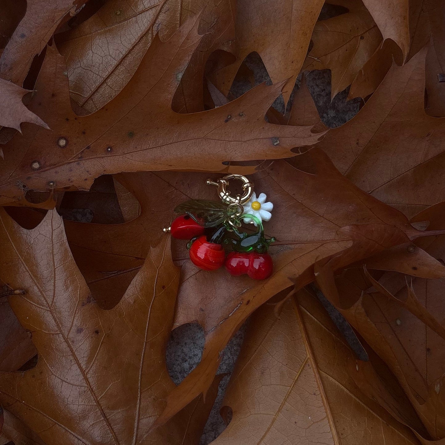Charm fruit - Lauré