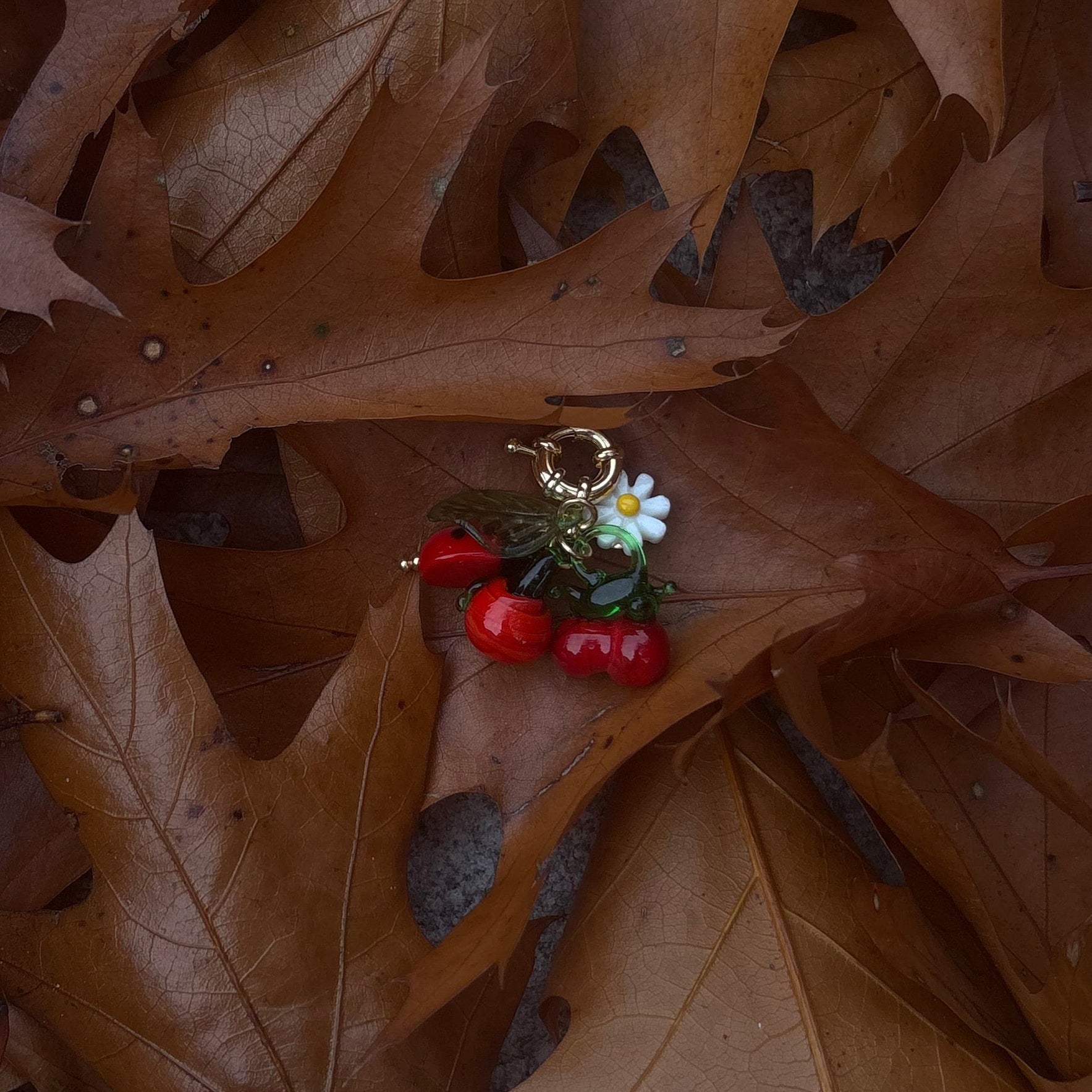 Charm fruit - Lauré